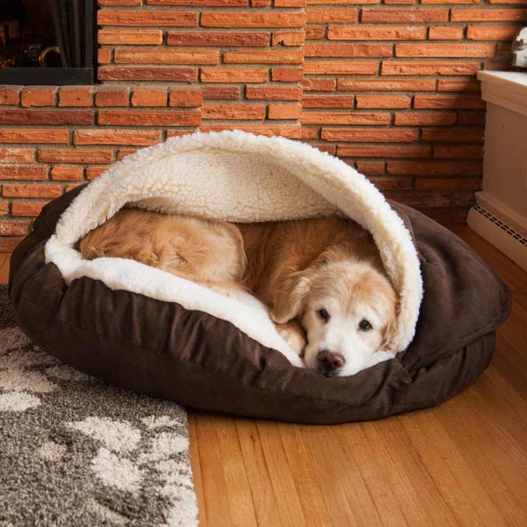 Bed for dogs